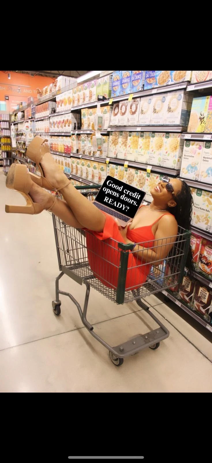 Holly in a grocery cart with her laptop, captioned: good credit opens doors, ready?